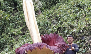 Screenshot_2022-12-07-22-18-53-17