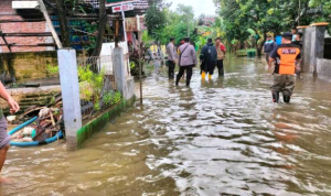 Screenshot_2023-01-03-02-16-42-85