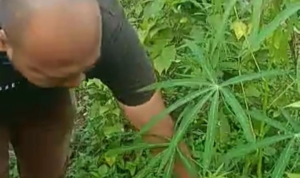 Screenshot_2023-01-11-18-54-16-74