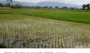 Screenshot_2025-11-23-10-59-36-17